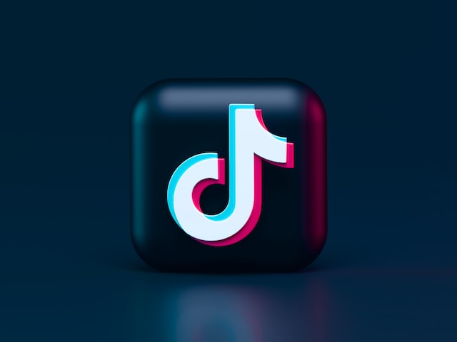 How much is tiktok net worth?