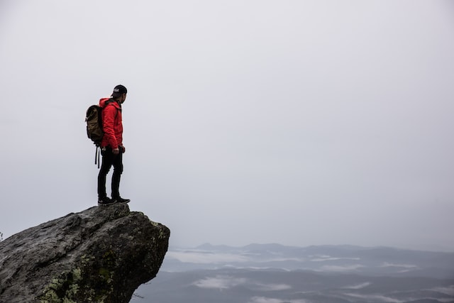 What is the average mens size