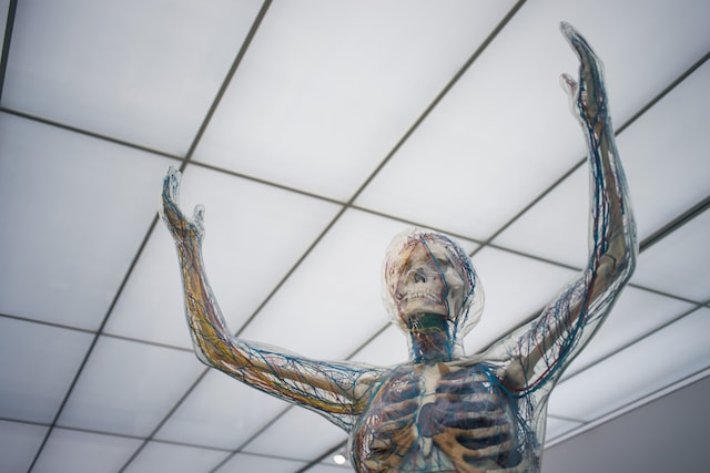 What are the last stages of sciatica?