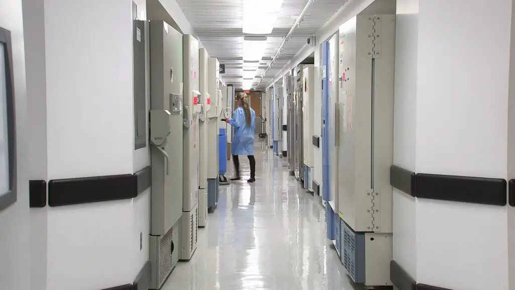 What is code black at a hospital?