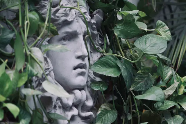 Was medusa black with dreadlocks?