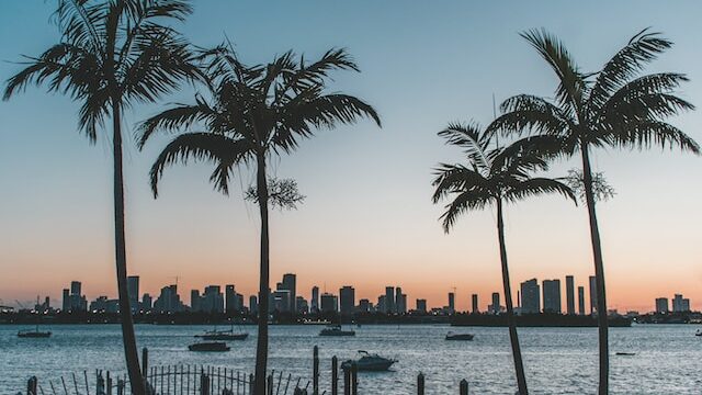 Why florida has no snow