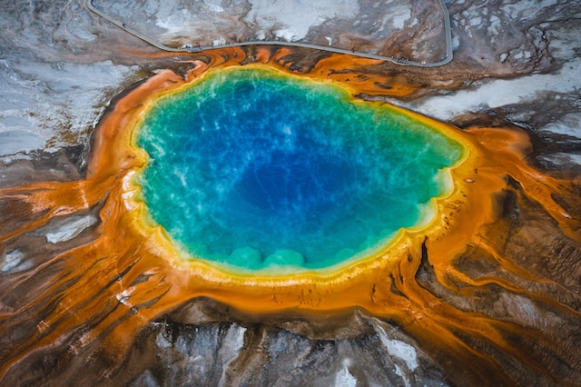 What happens to walker in yellowstone?