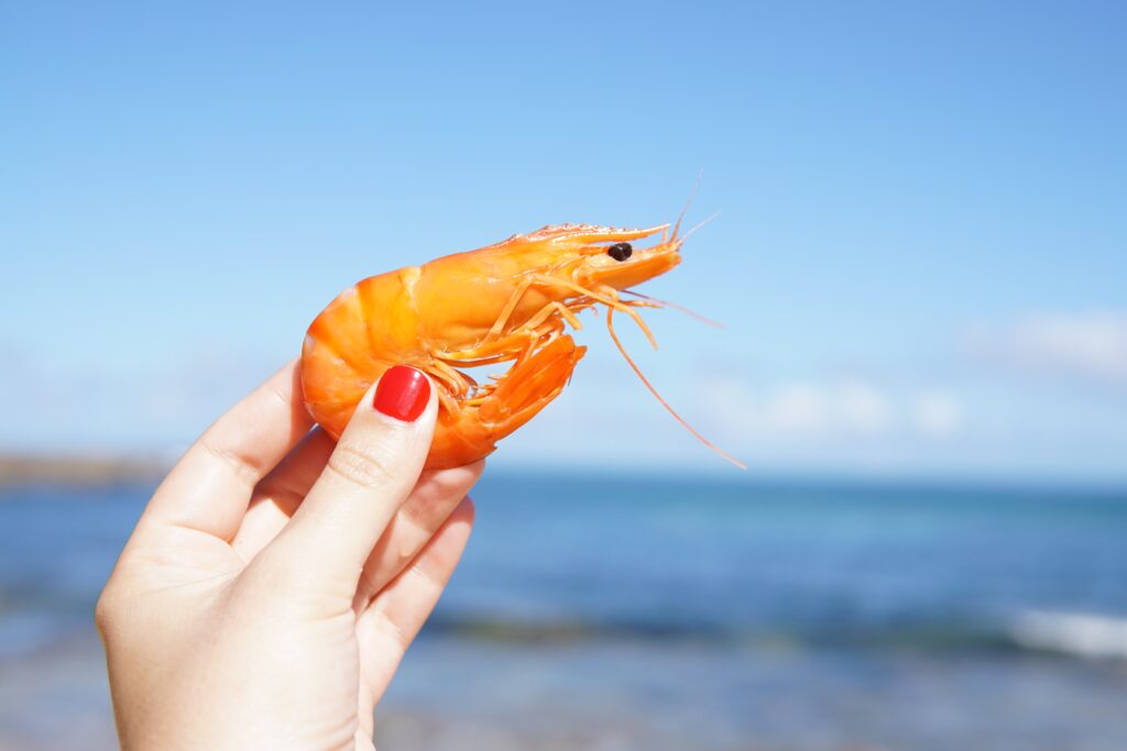 What are the pros and cons of eating Shrimp?