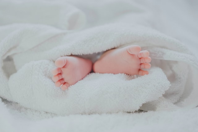 How was baby eve cloned?