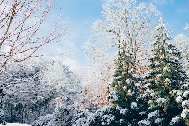 How long would nuclear winter last?