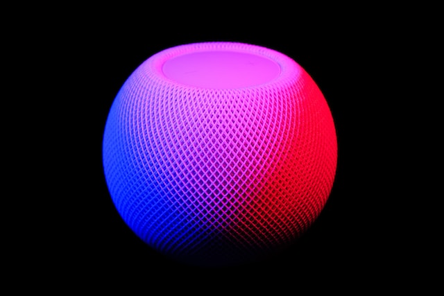 Apple Homepod Mini Wall Mount