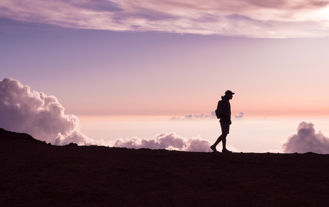 How many miles is 12 thousand steps?