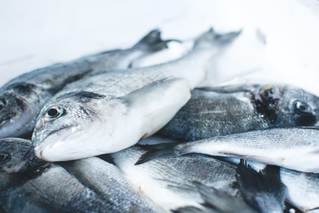 What Fish should I avoid if I have High Cholesterol?
