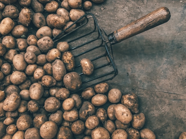 How far ahead can you peel potatoes before cooking ?