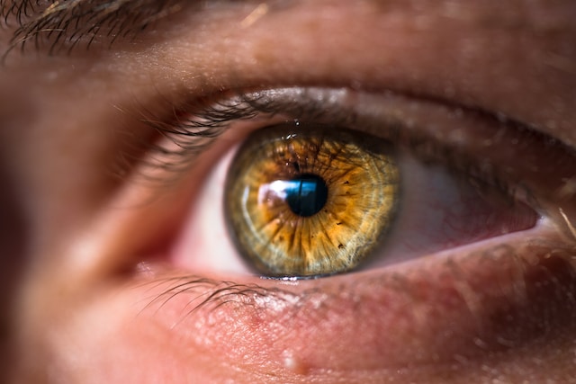 What color are hazel eyes really