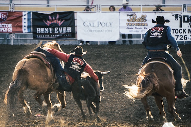 What was lane frost cause of death?