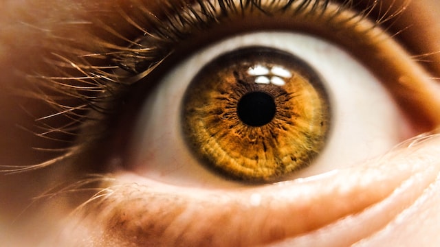 What do dark brown eyes mean?