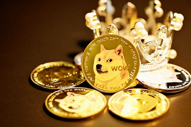 Is shiba inu burning coins daily