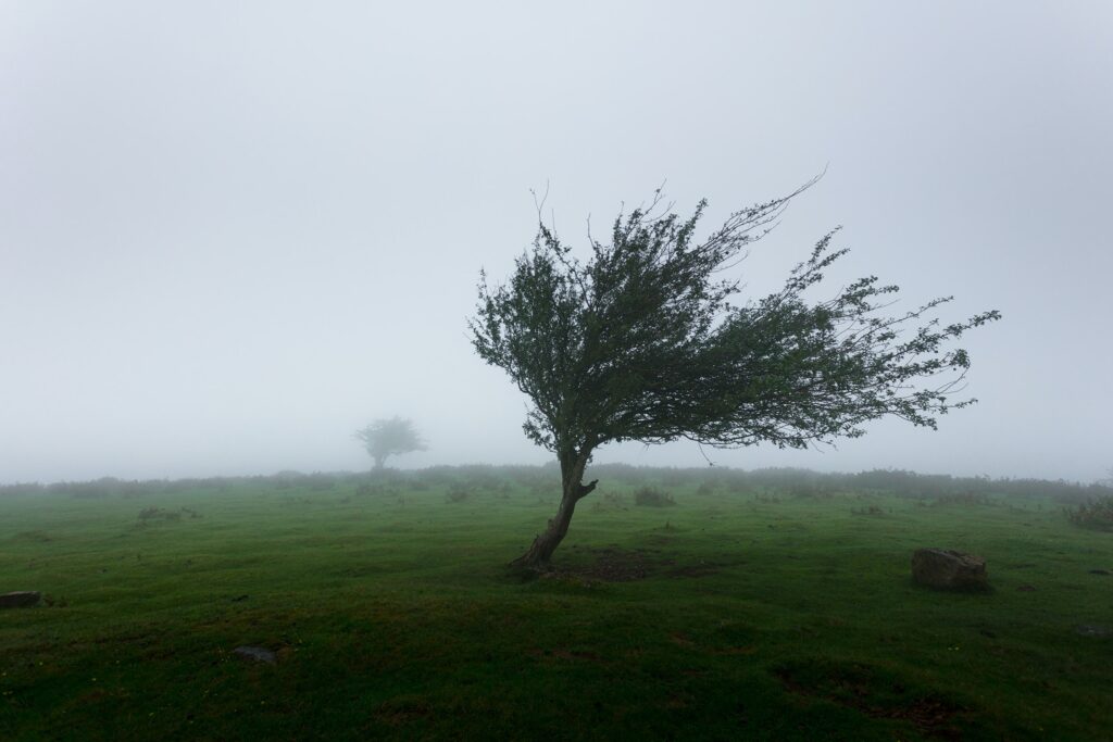 Who Is The Goddess Of Wind?