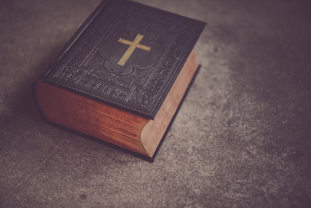 Did adam and eve only have three sons ?