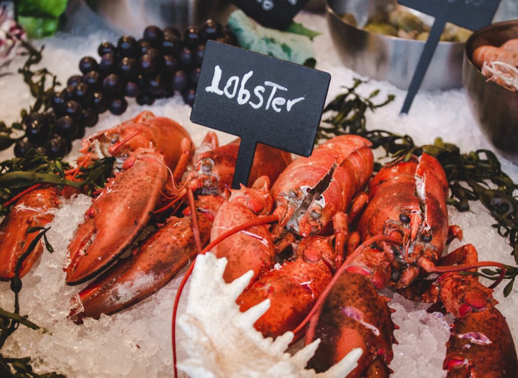 How long can a Lobster live?