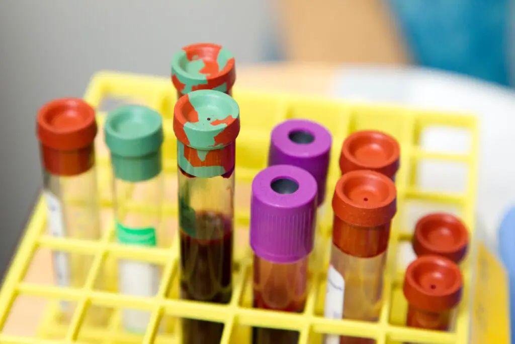 What documents show blood type?