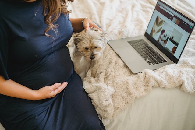 Why is my belly small at 5 months?