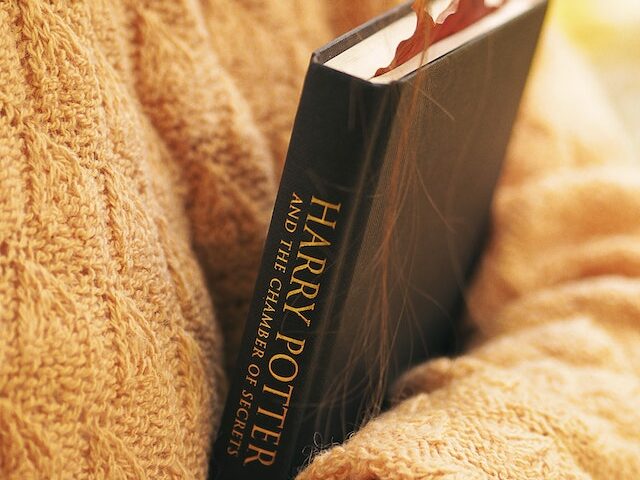 Why was dobby freed by a sock?