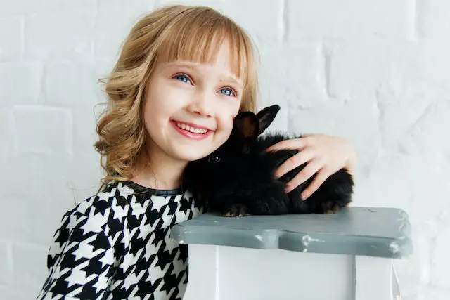 Are Black Bunnies Rare?
