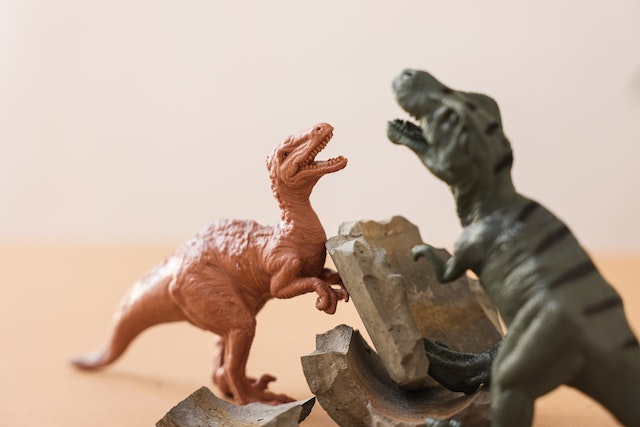 What is a Wyvern Vs Dragon?