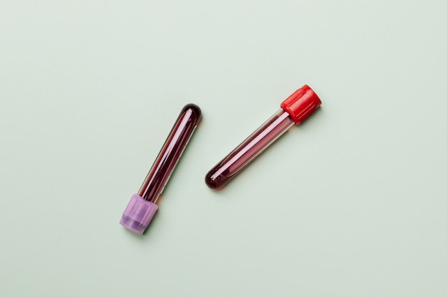 What foods thicken your blood?