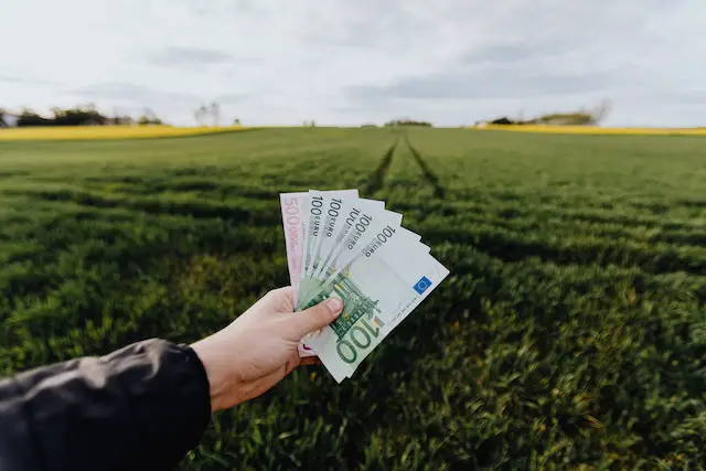 What happens if you lie about a hardship withdrawal from your 401k?