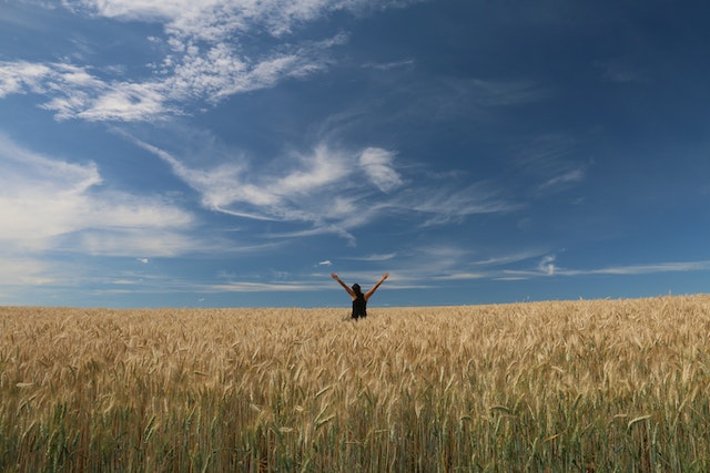 How many acres is yellowstone ranch?