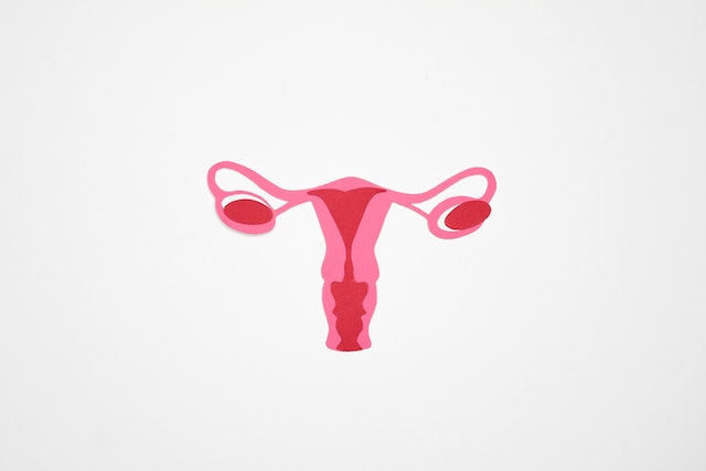 How much poop can your colon hold?
