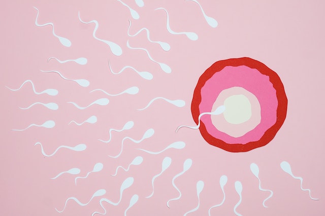 How do you know if sperm has entered?