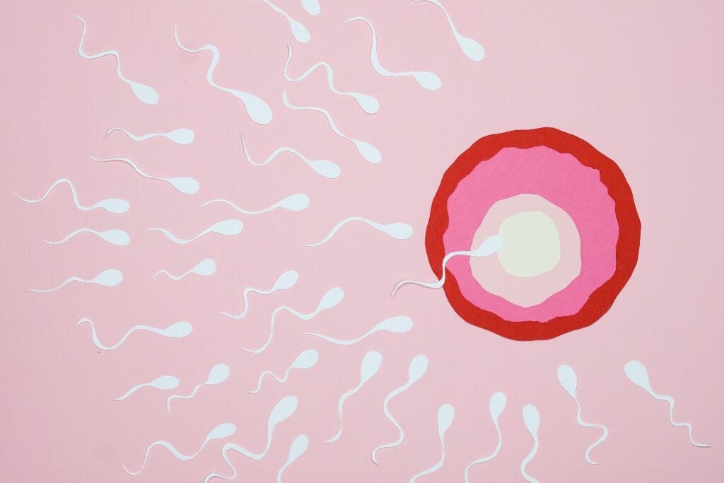 What makes Sperm Thick?