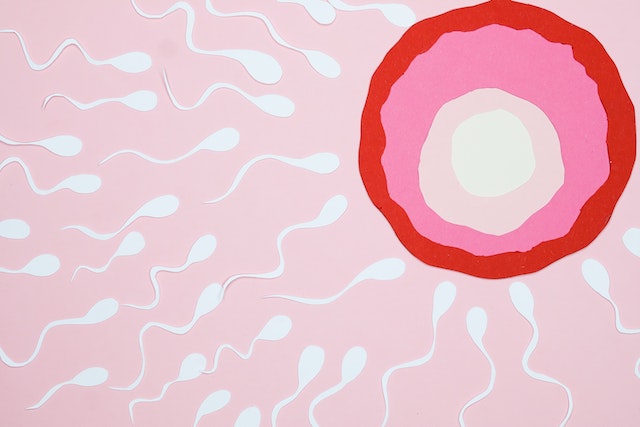 How long will sperm live in your mouth?