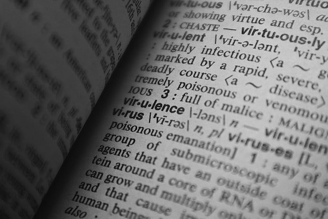 What does sym mean in slang?