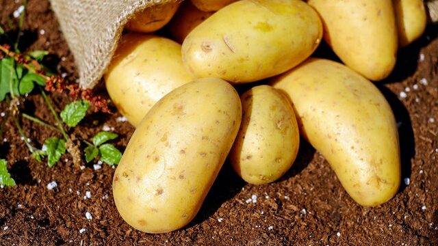 Which potatoes have the least carbs