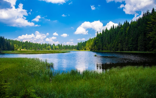 Why do bodies not decompose in lake superior?
