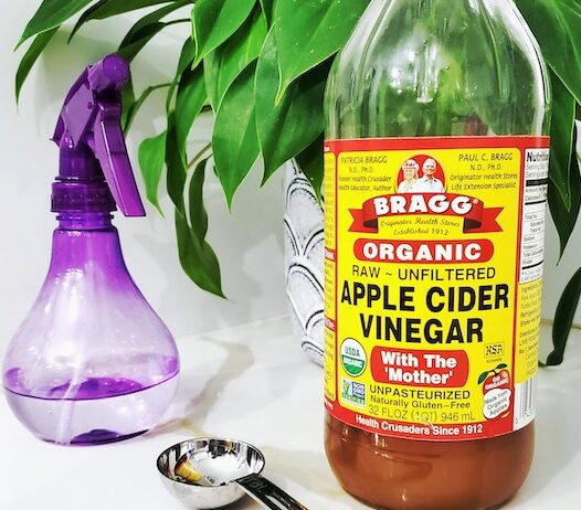 Is Vinegar an Acid or Base?