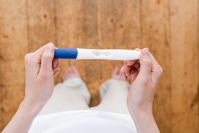 How early do dollar pregnancy tests work
