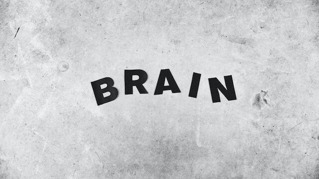 Can a person still live without a brain?