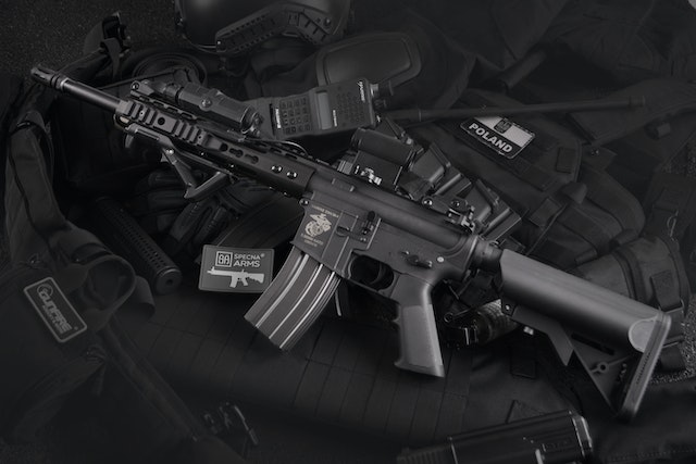 Can a 9mm take Down a Grizzly Bear?
