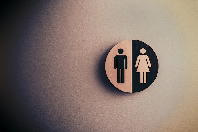 How many genders are there technically