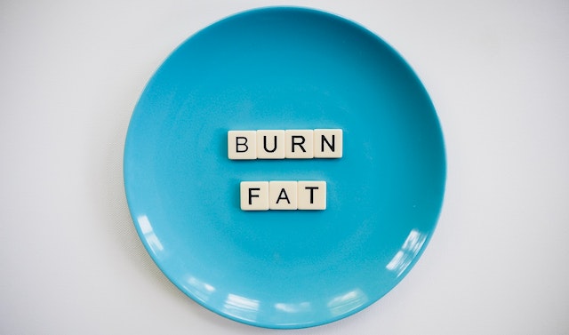 How many calories burned in 12000 steps?
