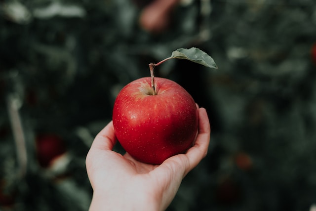 Which apple is better gala or honeycrisp?