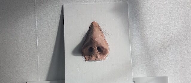 What is a nubian nose?