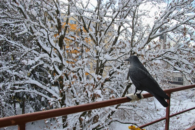 What two characters are symbolic mockingbirds and why?