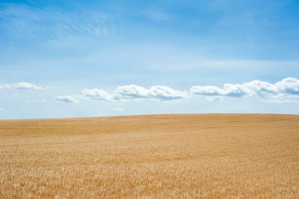 How far is it around 1 acre of land?