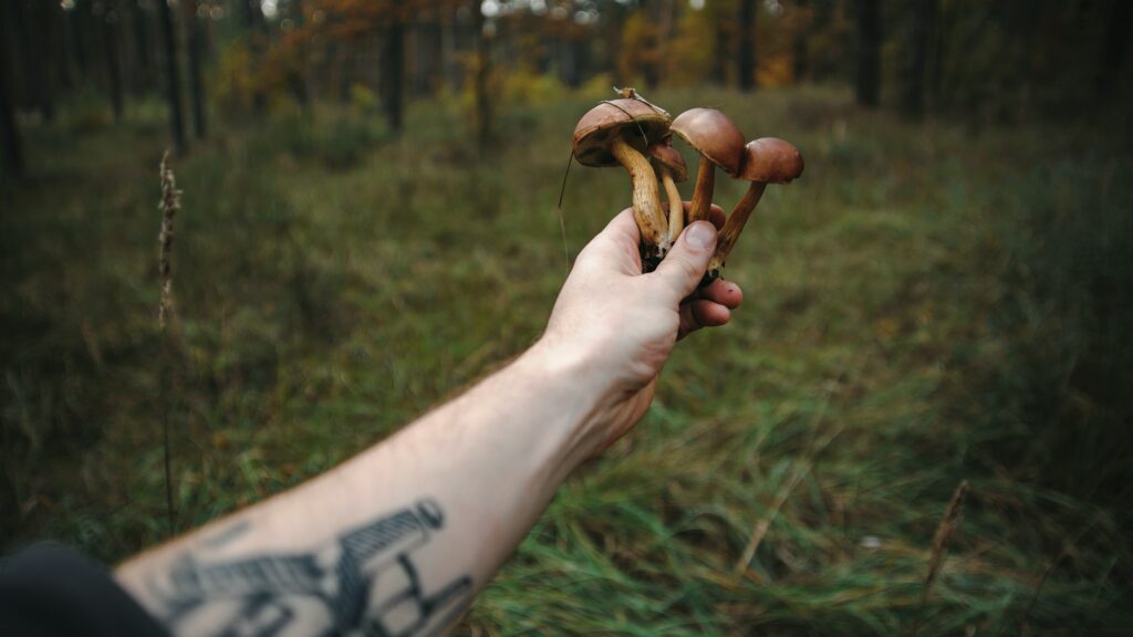 What do mushroom tattoos mean?