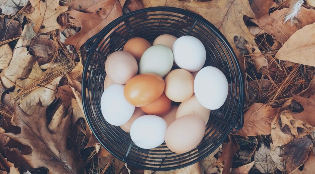 How long do farm fresh eggs last unwashed?