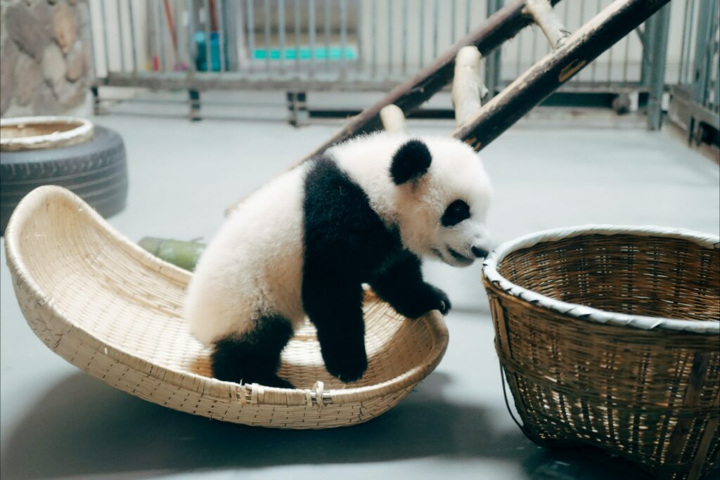 Who Is The Villain In Kung Fu Panda 4?