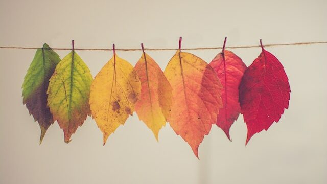 Which state has all 4 seasons?